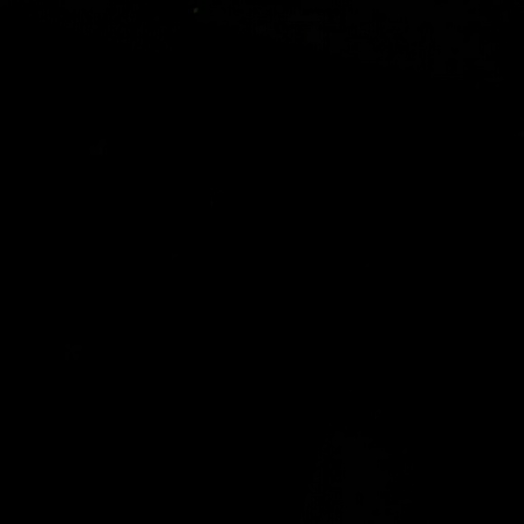 Meet your Posher, Bryce - Picture 1 of 1