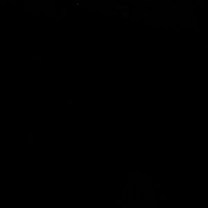 Meet your Posher, Bryce