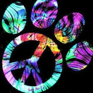 Meet your Posher, Vickie