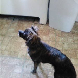 Meet your Posher, Renata