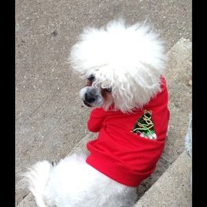 Meet your Posher, Veronica