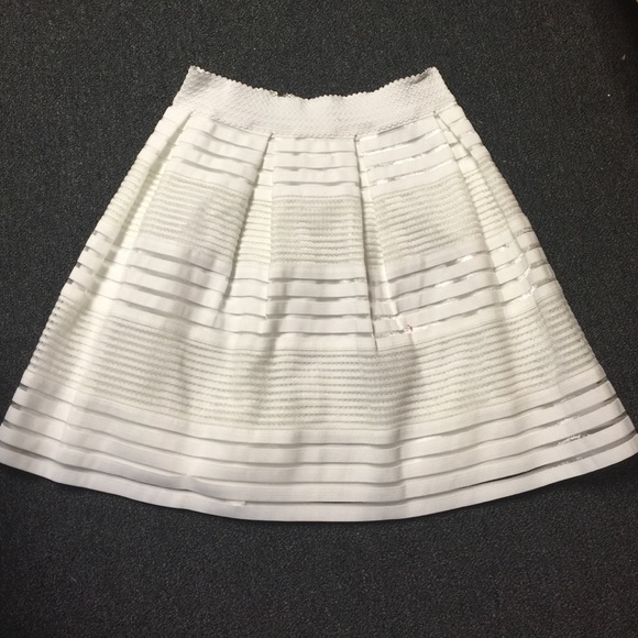 Francesca's Collections Dresses & Skirts - Francesca's skirt