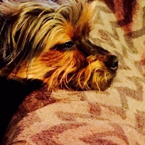 Meet your Posher, Tiffani