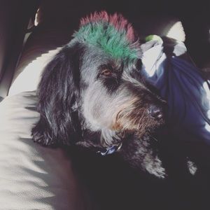 Meet your Posher, Marisa