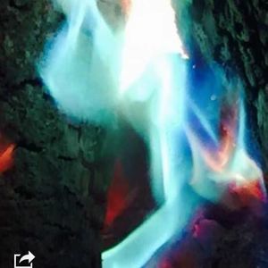 Meet your Posher, Angela baker