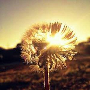 Meet your Posher, Taryn