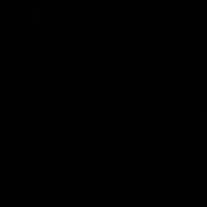 Meet your Posher, Galen