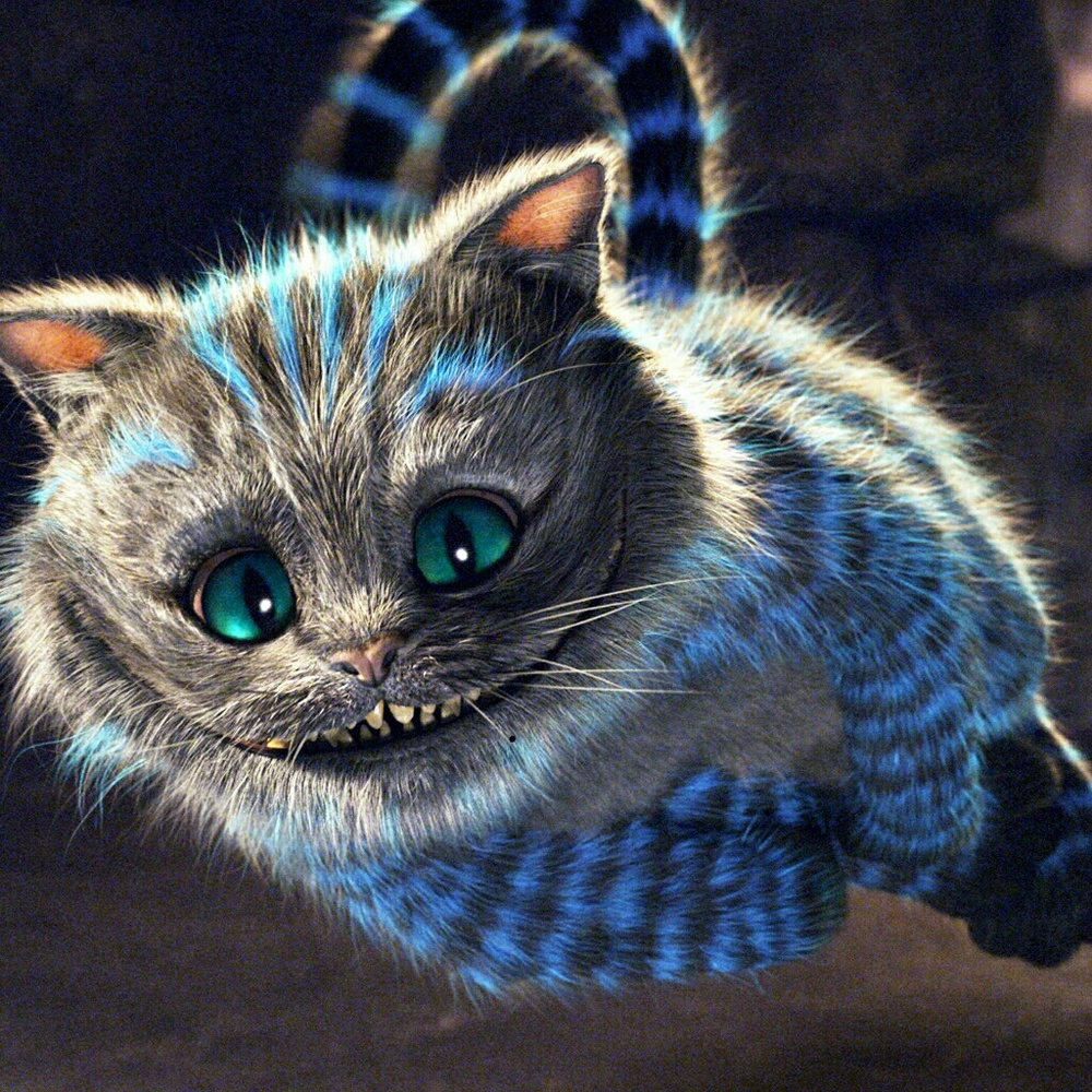 Meet your Posher, mom2six