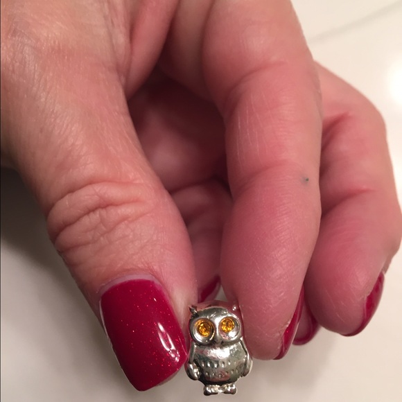 Owl charm not Pandora