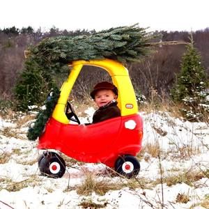 Meet your Posher, Ellie