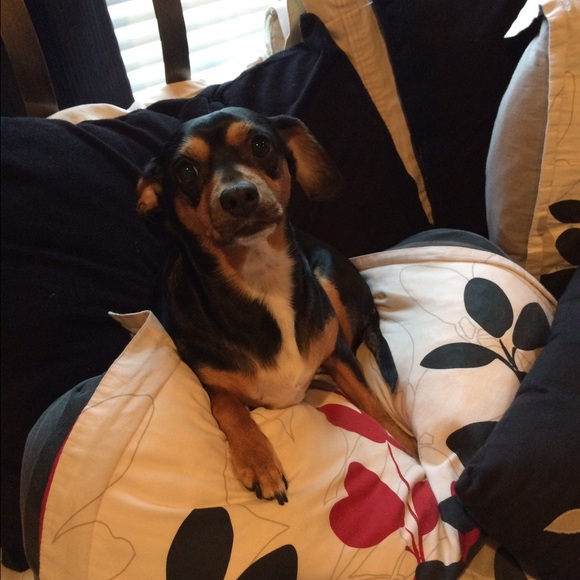 Meet your Posher, Mandy