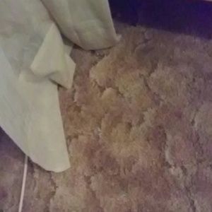 Meet your Posher, Juan