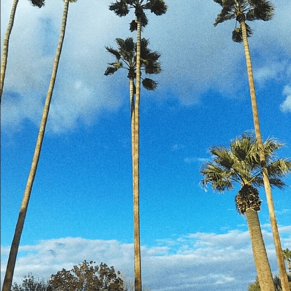 Meet your Posher, Destiny