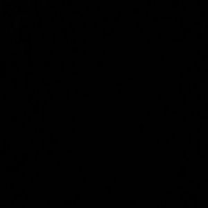 Meet your Posher, Aleena