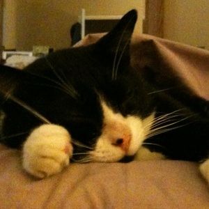 Meet your Posher, Anna