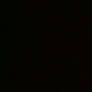 Meet your Posher, Dante