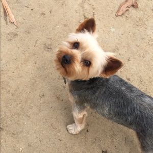 Meet your Posher, Shaylee