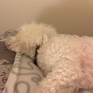 Meet your Posher, Edlineb