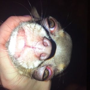 Meet your Posher, Lexie