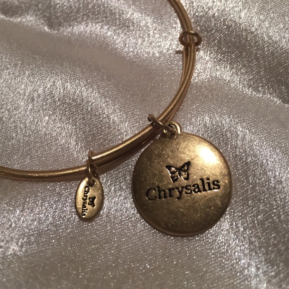 Chrysalis bangle charm bracelet - Picture 3 of 3