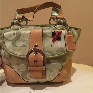 Cute Spring Coach with a lady bug!