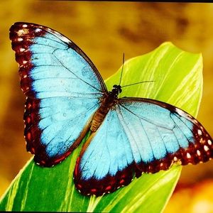 Meet your Posher, Carla