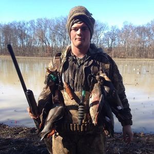 Meet your Posher, Wyatt