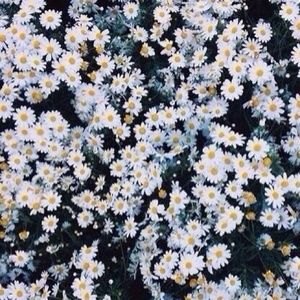 Meet your Posher, Cathy