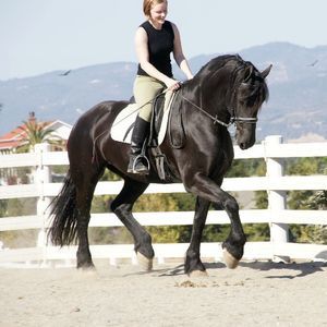 Meet your Posher, Molly