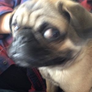 Meet your Posher, Ethan