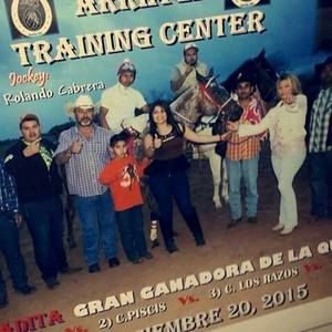 Meet your Posher, Genesis