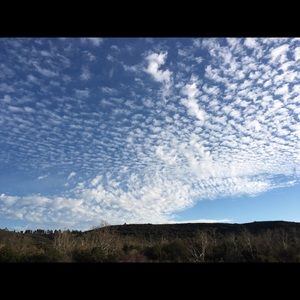 Meet your Posher, Rong