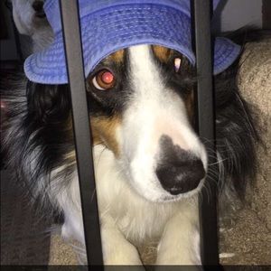 Meet your Posher, Keeley