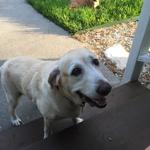 Meet your Posher, Karen