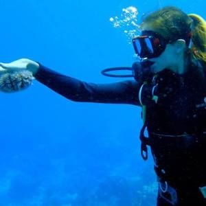 Meet your Posher, Tara