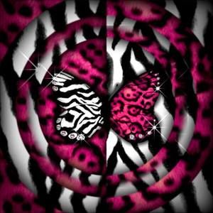 Meet your Posher, Rose