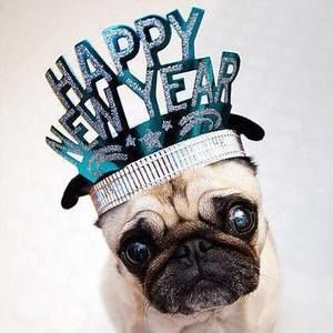 Meet your Posher, Minerva