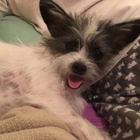 Meet your Posher, Mady