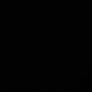 Meet your Posher, Savannah