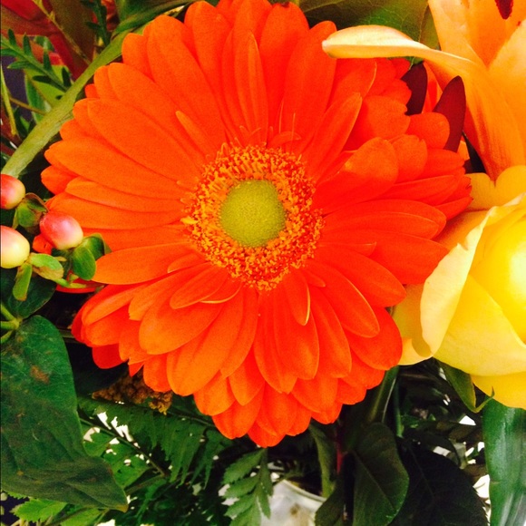 Meet your Posher, Beth