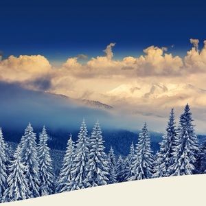 Meet your Posher, Brad