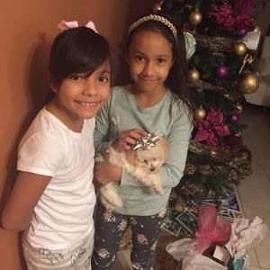 Meet your Posher, Ale