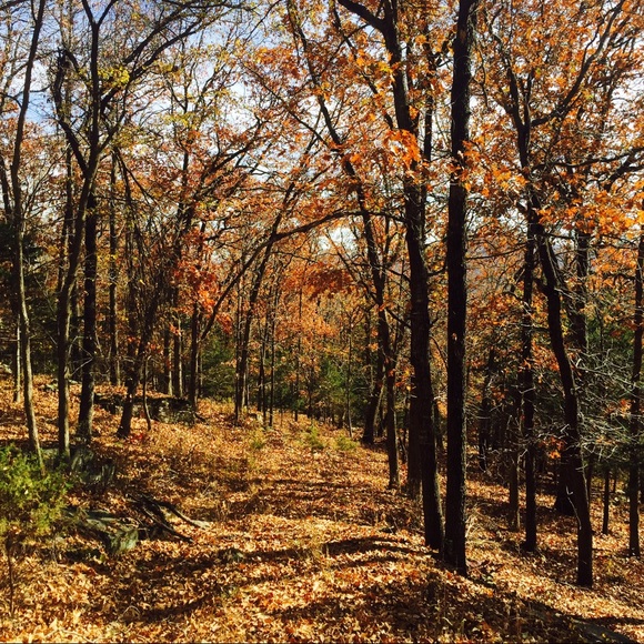 Meet your Posher, Ashley - Picture 1 of 1