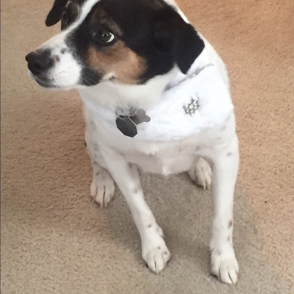 Meet your Posher, Carrie