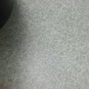 Meet your Posher, Dylan