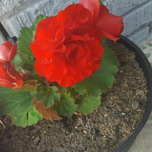 Meet your Posher, Karina