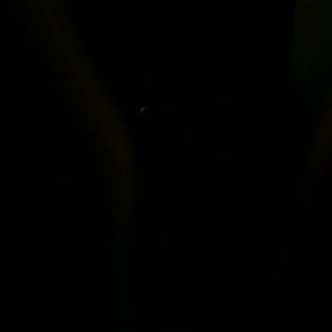 Meet your Posher, Will