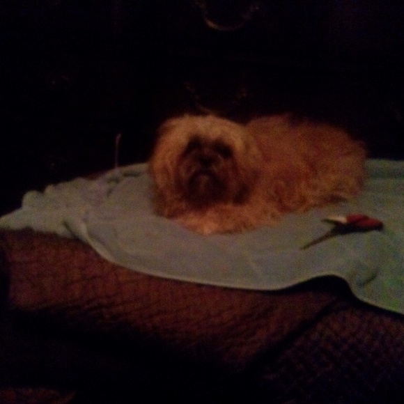 Meet your Posher, Ana