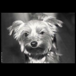 Meet your Posher, Cherri