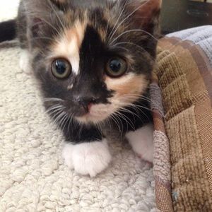 Meet your Posher, Ellie